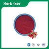 Cranberry-Extrakt-Pulver