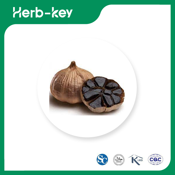 Extrakt aus schwarzem Knoblauch