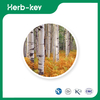 Birkenrindenextrakt