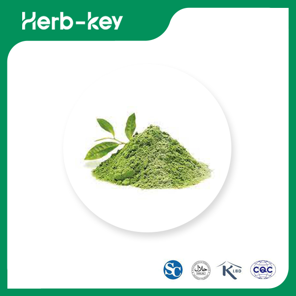 Epigallocatechingallat (egcg)