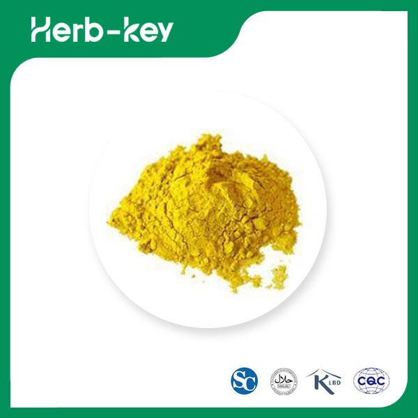 Vitamin-B9-Pulver