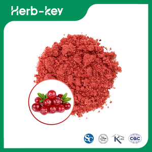 Cranberry-Fruchtpulver
