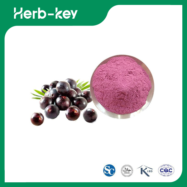 Acai-Beerenpulver