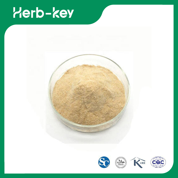 Kürbiskernproteinpulver