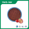 Bio-Traubenkernextrakt