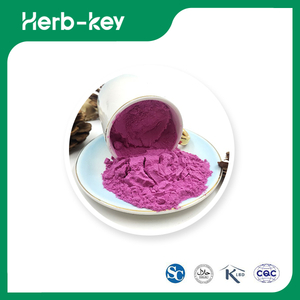 Heidelbeerpulver