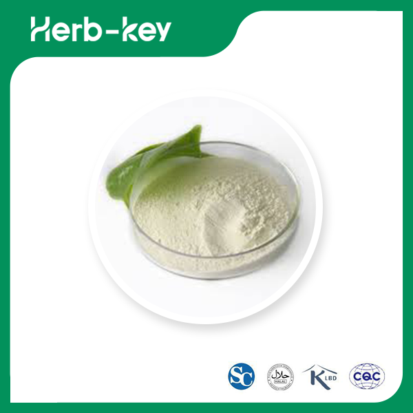 Lactobacillus Bulgaricus-Pulver