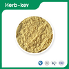 Sanddornpulver
