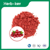 Cranberry-Pulver 