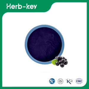 Gefriergetrocknetes Aroniabeerenpulver