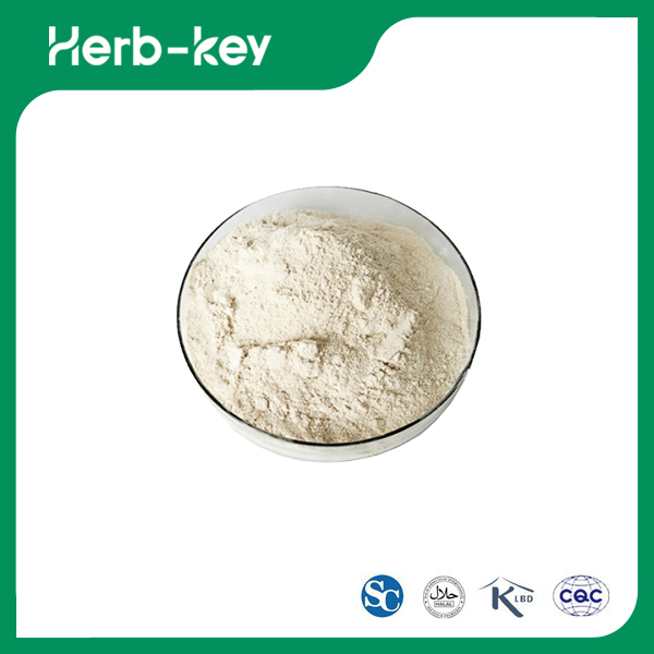 Erbsenpeptidpulver &nbsp;
