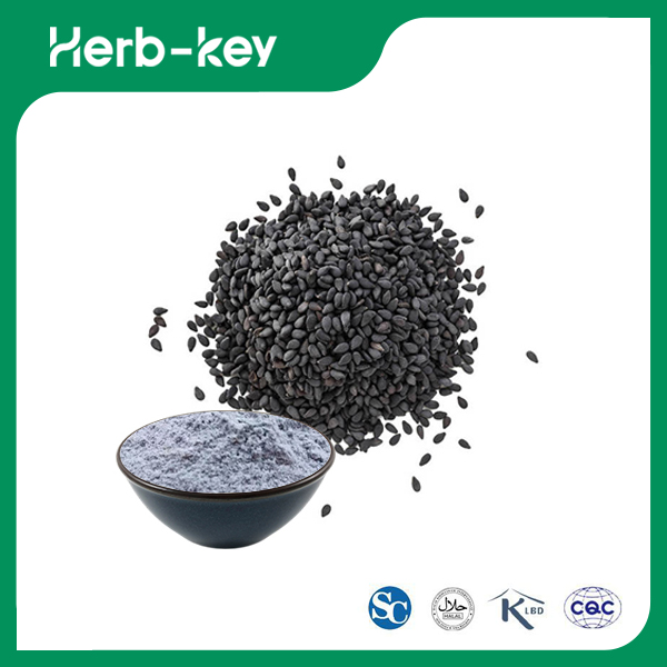 Gemahlenes Sesampulver Proteinpulver aus schwarzem Sesam