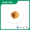 Corn Steep Liquor-Pulver