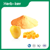 Mangosaftpulver &nbsp;