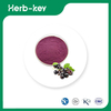 Schwarzes Johannisbeerpulver