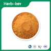 Dehydriertes Tomatenpulver