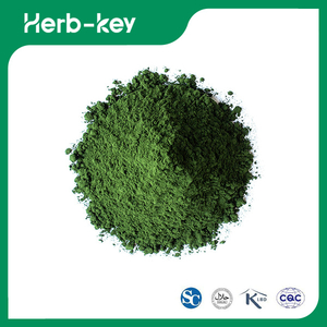 Algen-Chlorella-Pulver