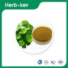 Centella Asiatica-Blattextrakt &nbsp;