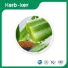 Aloe-Vera-Pflanzenextrakt
